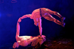 Cirque Surreal - © Stages in Design 2015