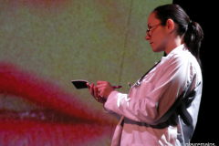 Insignia © Stages in Design 2007