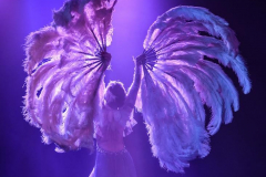 La Clique - © Stages in Design 2018