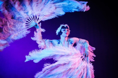 La Clique - © Stages in Design 2018