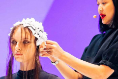Salon Live 2018 Showcase - © Salon International 2018