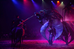 Spirit of the Horse - © Stages in Design 2018