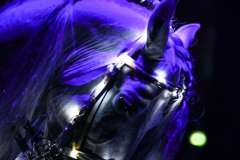 Spirit of the Horse - © Stages in Design 2018