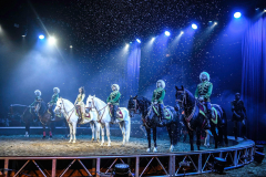 Spirit of the Horse - © Stages in Design 2018