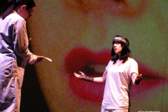 Insignia © Stages in Design 2007