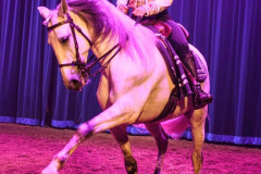 Spirit of the Horse - © Stages in Design 2018