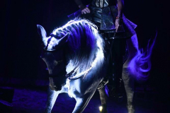 Spirit of the Horse - © Stages in Design 2018