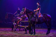 Spirit of the Horse - © Stages in Design 2018