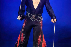 Spirit of the Horse - © Stages in Design 2018