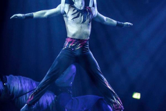 Spirit of the Horse - © Stages in Design 2018